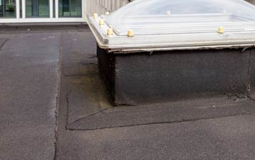 disadvantages of East Tisted flat roofs